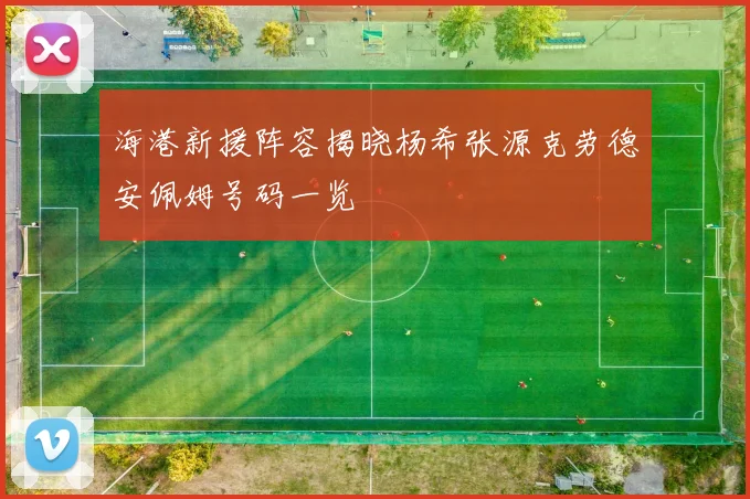 海港新援阵容揭晓杨希张源克劳德安佩姆号码一览